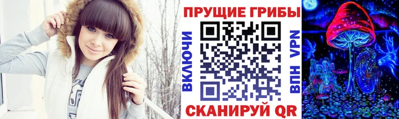 Галлюциногенные грибы GOLDEN TEACHER  Шумиха 