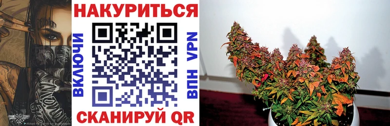 Бошки Шишки конопля Шумиха